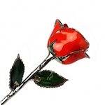 Bright Red Colored Rose Preserved Forever in Lacquer with Real Platinum Trim