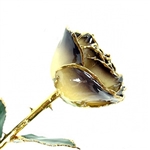24K Gold Trimmed Rose, ivory to black bloom