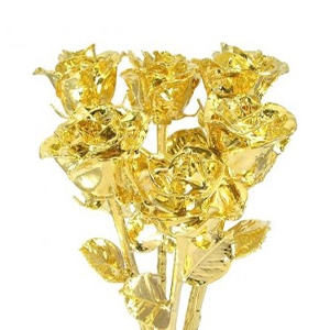 6 Gold Dipped Roses