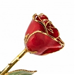 Red Lacquer and Gold Trimmed Rose