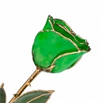 Green 24K Gold Trimmed Rose