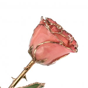 24 K Gold Rose Pink Lacquer and Gold Trimmed Rose