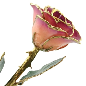 24 K Gold Rose Pink Amethyst Lacquer and Gold Dipped Rose