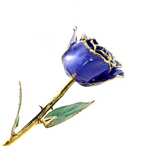 24 Karat Violet Pearl Gold Trimmed Rose