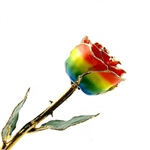 The Rainbow 24K Gold Trimmed Rose