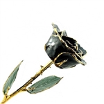 Black 24K Gold Trimmed Rose