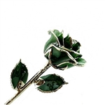 Emerald Green Platinum Trimmed Rose