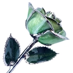 Light Green Platinum Trimmed Rose