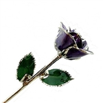 Purple Platinum Trimmed Rose