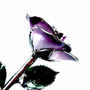24 K Gold Rose Purple Two Toned and Platinum Dipped Rose