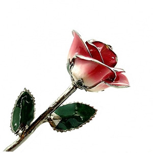 24 K Gold Rose Pink Two Toned and Platinum Plated Rose