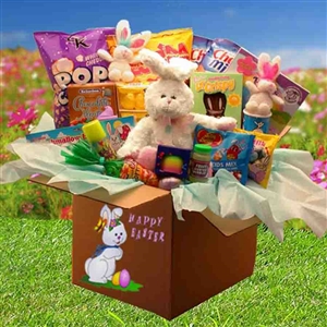 Giftbasket Drop Shipping Family Fun Easter Care Package