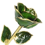 May Birthstone Emerald Green Rose, Gold Trim