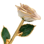 June Birthstone Pearl Rose, Gold Trimmed