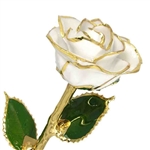 April Birthstone White Diamond Rose, Gold Trim