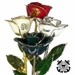 Real rose preserved forever with choice of military branch logo imprinted on one of the rose petals.