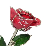 Personalized Silver Trimmed Rose, Your Choice of Color