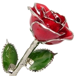 July Birthstone Ruby Red Rose, Platinum Trim