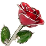 July Birthstone Ruby Red Rose, Silver Trim