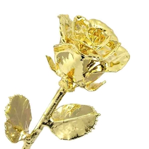 JDS Personalized Gifts Long Stem Gold Dipped Rose with Real 24 K