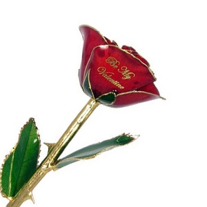 Love Is A Rose Be My Valentine Gold Dipped Rose