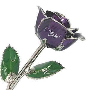 Love Is A Rose Signature Rose in Choice of Trims and Colors