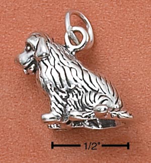 Sterling Silver Jewelry Designs Newfoundland Charm