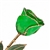 Green Rose Preserved Forever and Trimmed in 24K Gold