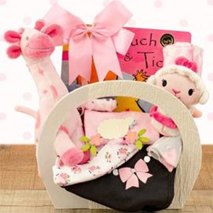 A basket for the new baby girl that includes baby sleeper, socks, cap, receiving blanket, bib and more!