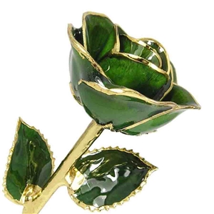 Emerald Green, May Birthstone Color Rose, trimmed in gold
