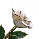 Frozen White Sparkle Rose with 24 Karat Gold Trim