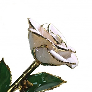 Frozen White Sparkle Rose with 24 Karat Gold Trim