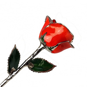 Bright Red Colored Rose Preserved Forever in Lacquer with Real Platinum Trim