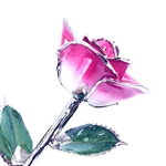 Real rose in pink petals fading to white at base, preserved in platinum