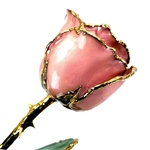 Pink Opal 24K Gold Trimmed Rose