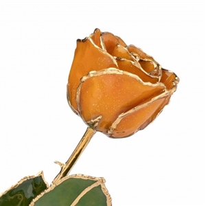 Preserved 11 inch Stem Rose in November Birthstone Color Topaz