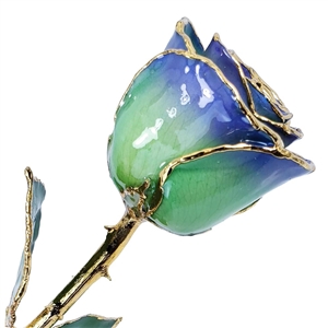 Blue and Green Color Rose preserved forever and trimmed in 24K gold