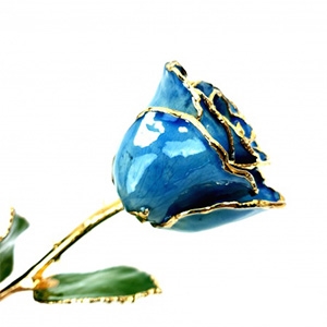 Blue 12" stemmed rose preserved in Lacquer and trimmed in 24 karat Gold