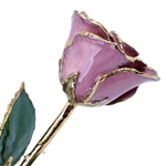 Pink Lilac Color Real Rose preserved forever and trimmed in 24K Gold
