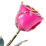 Hot Pink Color Rose preserved forever and trimmed in 24K gold
