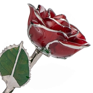 Red Rose Preserved in Lacquer and Platinum Trimmed