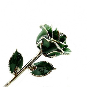 Green Rose Preserved Forever and Trimmed in Platinum