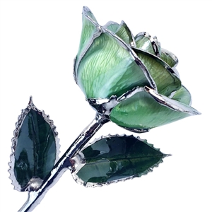 Light Green Rose Preserved and Trimmed in Platinum