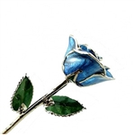 Real Blue Rose Preserved in Lacquer and Trimmed in Real Platinum