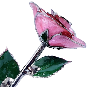 A real pink rose preserved in lacquer and trimmed in platinum