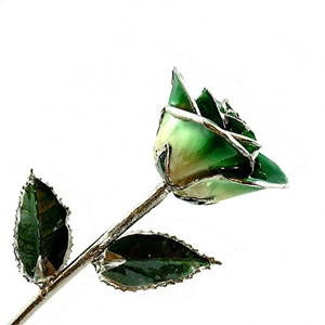 Green Two-Toned Rose Preserved Forever and Trimmed in Platinum
