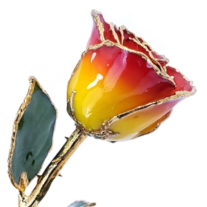 Yellow and Red Rose with 24Kt Gold Trim