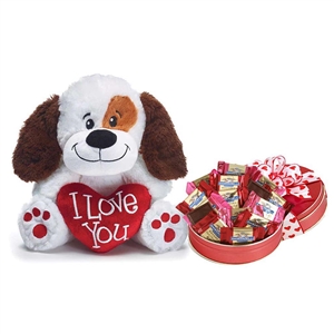I Love You Valentine's Puppy with Chocolates