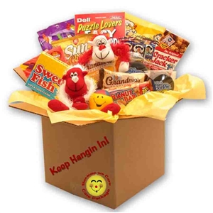 Keep Hanging In There Care Package - Fun Plush Monkeys & Crossword Puzzle Book