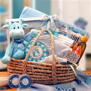 Precious New Baby Blue Carrier Gift Basket - Help Mom and Dad with this Great Baby Gift!